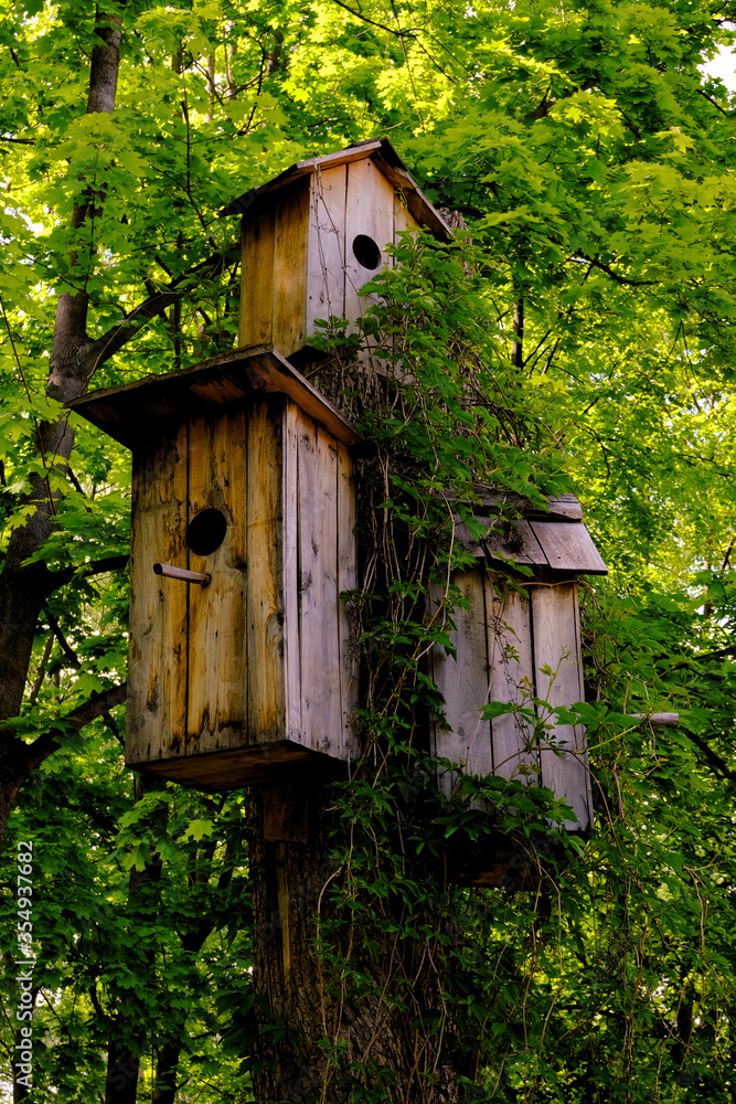 Birdhouses on a tree. Ecoculture and caring for birds. Parks and recreation areas. Birdhouses on a tree. Ecoculture and caring for birds. Parks and recreation areas.