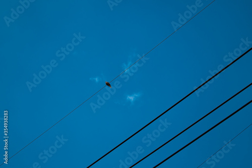 power line wire on a blue sky background