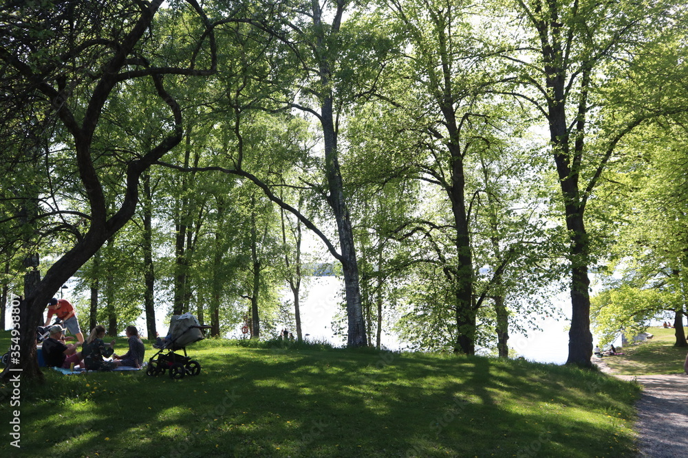 Obraz premium Hatanpään arboretum