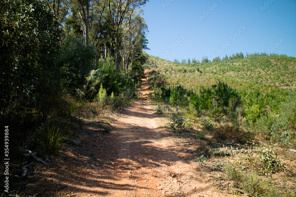 Bright Mountain Bike Park in Australia Bright Mountain Bike Park in Australia