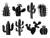 Cactuses silhouette. Vector set cactuses, aloe and leaves Collection of exotic plants hand drawn illustration isolated on white