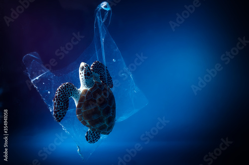 Photography Turtle in plastic bag in ocean