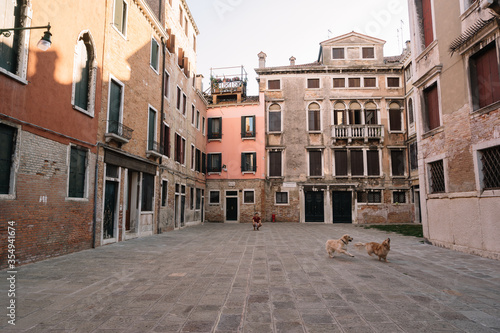 One man is walking with two dogs at the yard of Venice, Italy.