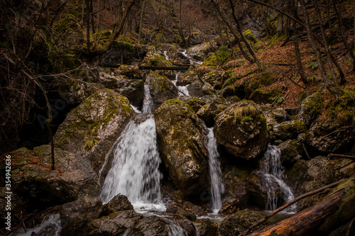 Fotografie, Obraz Fast flowing water over small rapids and waterfalls in Vintgar gorge, close to Borovnica, slovenia, on a dull winter day