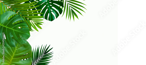 Green leaves nature frame layout of tropical plant bush (monstera, palm, philodendrons, ferns) on white background, flat lay