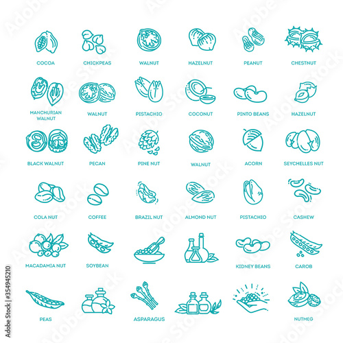 web icons collection - nuts, beans and seed.