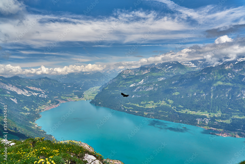 Landscape with Swiss Alps mountains, green nature and Lake Brienz (Brienzersee). Photo taken at Hardergrat ridge trail / hike, near Interlaken, Switzerland. 