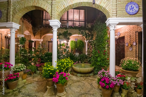 Фотография Inner courtyard of a typical Andalusian house in Spain.