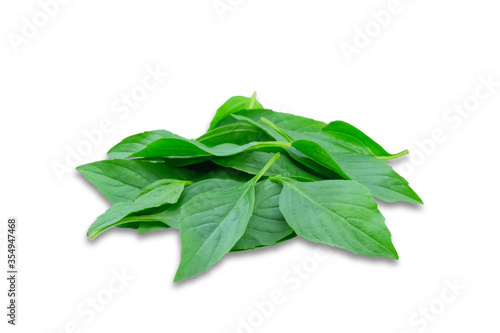 Sweet basil leaf on white background, Herbs with aromatic and medicinal properties.