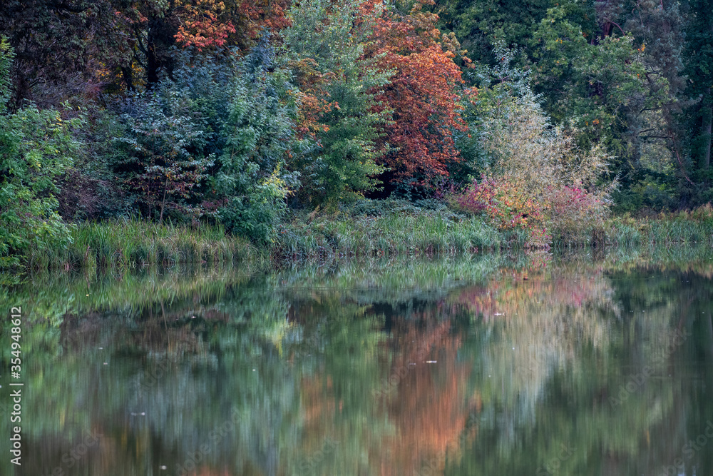Trees and bushes reflected in a lake with autumn colours