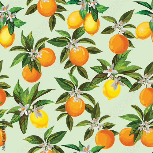 Orange vector seamless pattern.Botanical background with fruit.