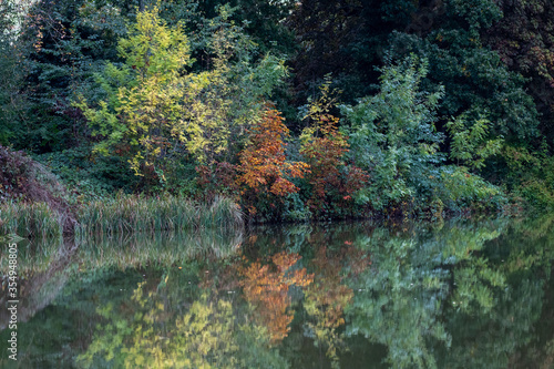 Trees and bushes reflected in a lake with autumn colours