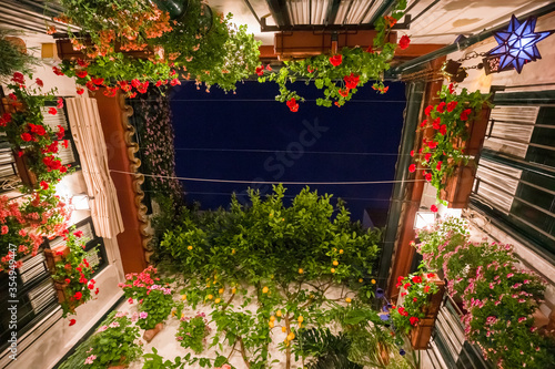 Inner courtyard of a typical Andalusian house in Spain.