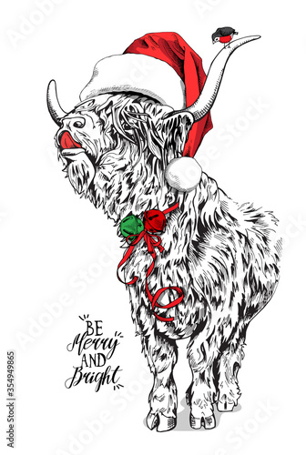 Adorable Cow with a bang (Scottish Highland cattle) in a red Santa's hat,  with a bells and bird. Christmas and New year card, Humor composition, hand drawn style print. Vector illustration.