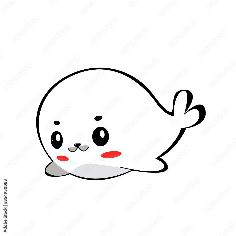 seal Animal baby seal Animal baby
