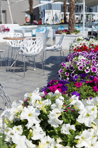 View summer urban elite cafes in recreation area on beach, decorated with richly blooming flowers. Selective focus and space in zone blurring compositions for production of advertising 