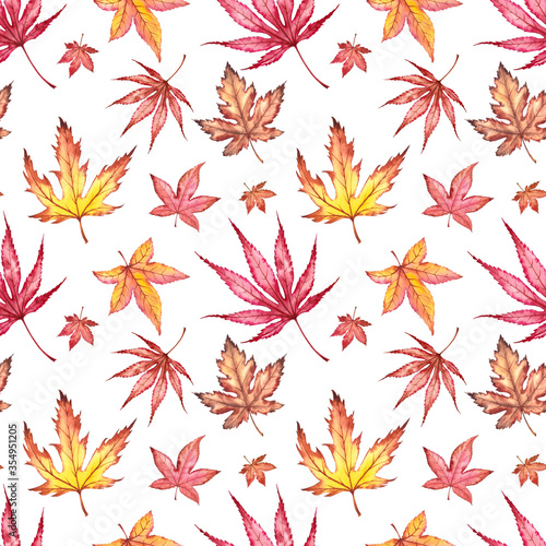 Seamless pattern with japanese maple leaves.