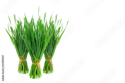 Tableau sur toile Freshly harvested wheatgrass on white background with copy space.