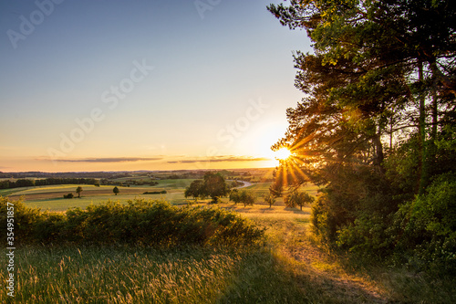 Rural landscape with a hill and a single tree at sunrise with warm light, trails in the meadow leading to the golden sun