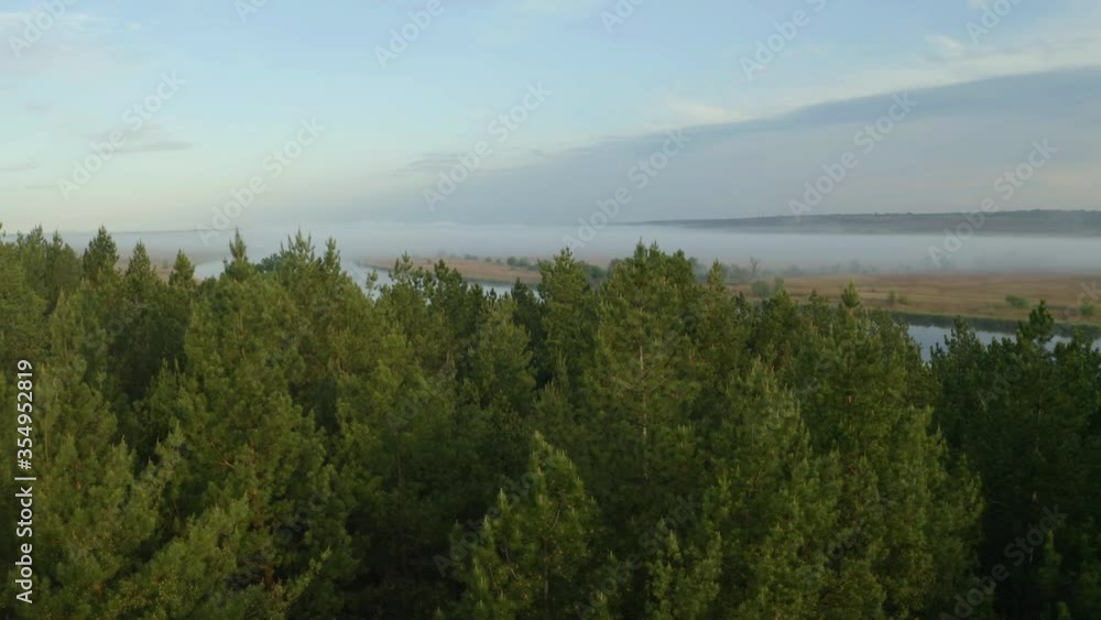 Beautiful view of river and forest in morning, slow motion effect. Drone video recording Beautiful view of river and forest in morning, slow motion effect. Drone video recording