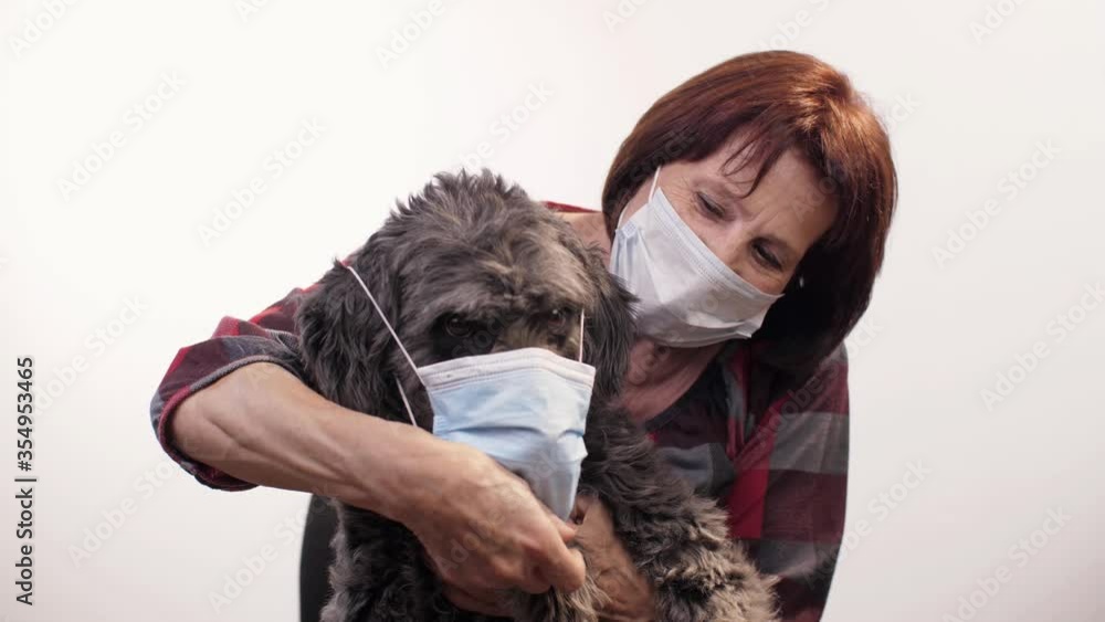Mistress puts a face mask on a dog Mistress puts a face mask on a dog