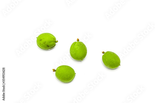 green unripe apricots on a branch. Isolated on white background