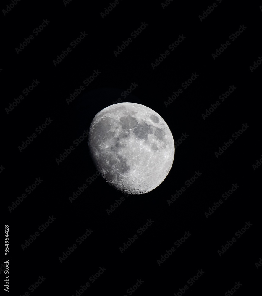 moon in the night moon in the night