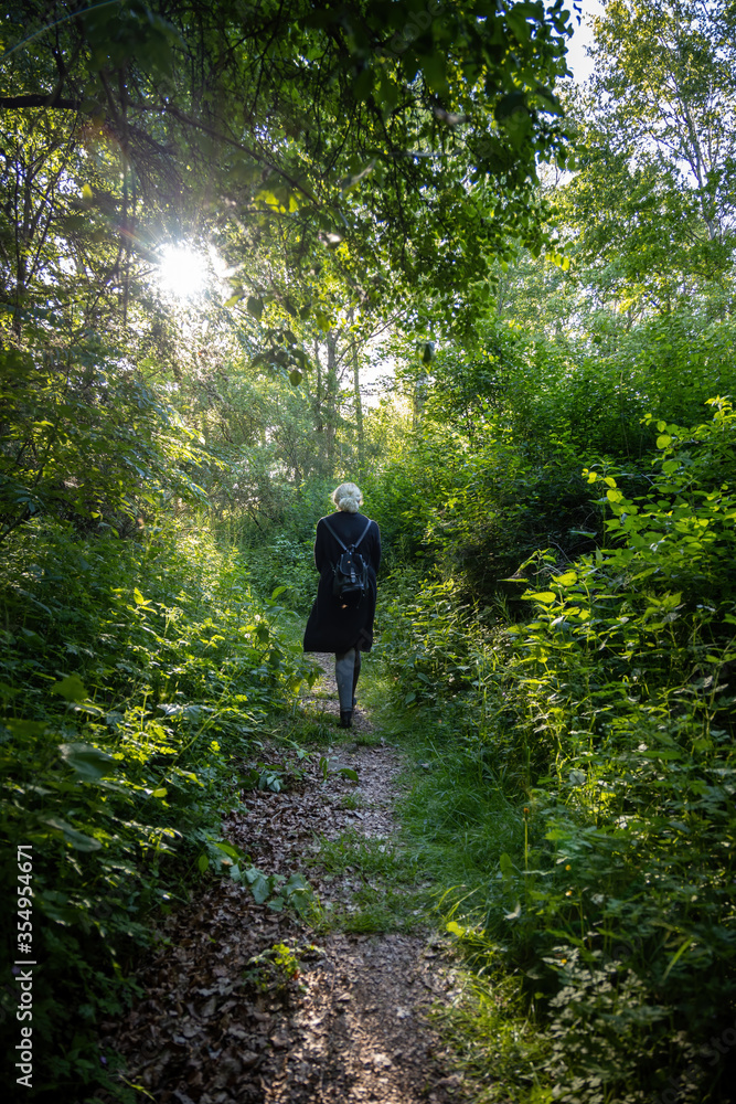 Obraz premium Hiking on a trail at the Feldberger Seenlandschaft.