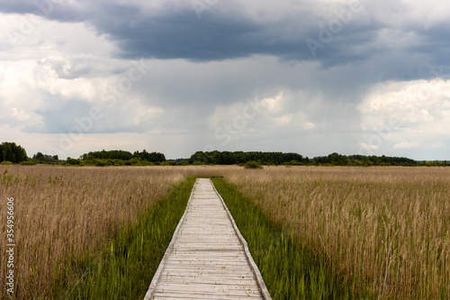 .Boardwalk path in marshland bog Bubnow in Poleski National Park. Pathway in the middle, grass and reeds on sides. Nature trail Czahary. Poland, Europe.