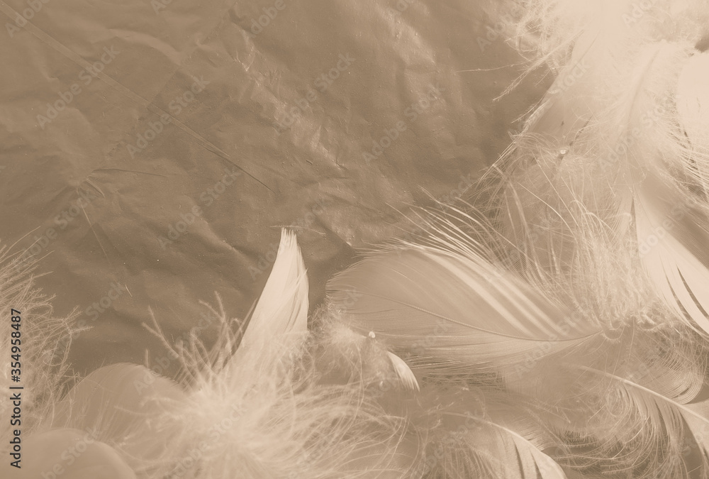 Beautiful abstract white and brown feathers on white background and soft yellow feather texture on white pattern and yellow background, feather background, gold feathers banners Beautiful abstract white and brown feathers on white background and soft yellow feather texture on white pattern and yellow background, feather background, gold feathers banners