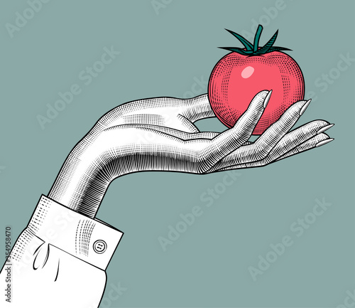 Female hand holding a red tomato