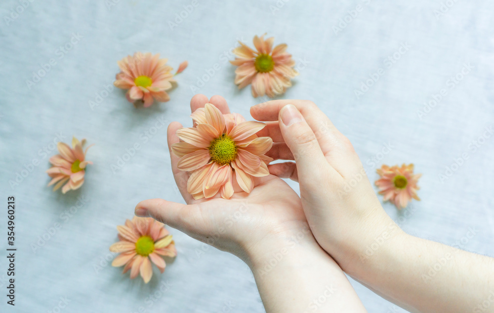 Hands of a beautiful woman on a white background. Delicate palm with natural manicure, clean skin. Light white nails. Hand Care. Hands of a beautiful woman on a white background. Delicate palm with natural manicure, clean skin. Light white nails. Hand Care.