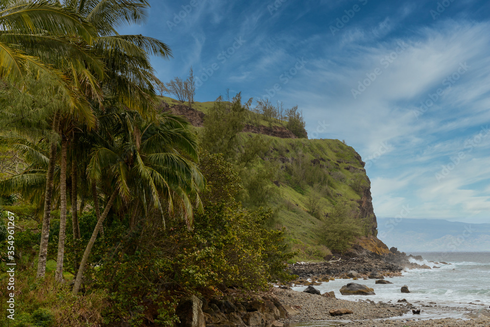Tropical hillside lush green foliage on water's edge.
Hawaii USA. Horizontal landscape Photo
