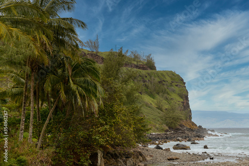 Tropical hillside lush green foliage on water's edge. Hawaii USA. Horizontal landscape Photo 
