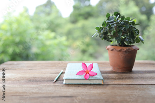 Frangipani flower with diary notebook and pencil with plant pot on wooden table