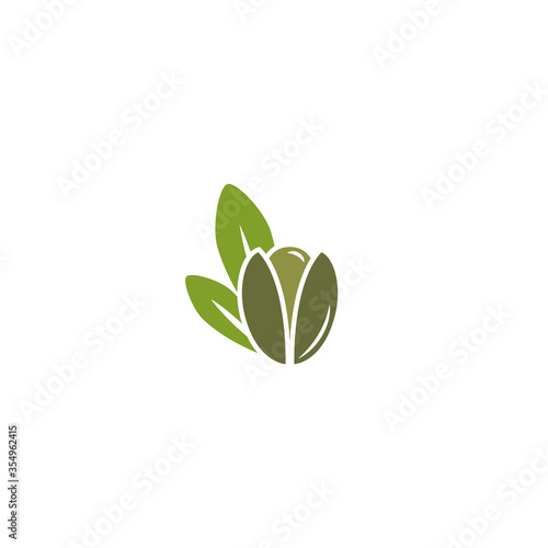 Argan nut green icon. beauty and cosmetics oil. Cosmetic ingredient carotene, carotin.