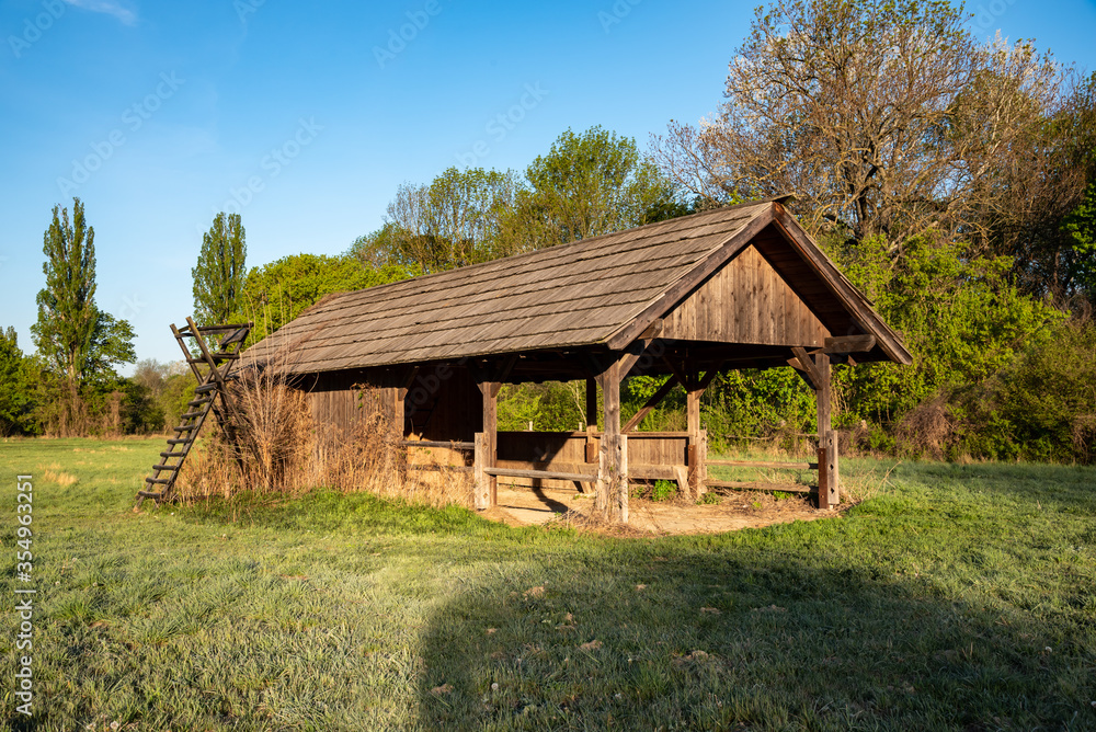 An animal feeding shelter in a glade is lit by the morning sun with a hunter stand next to it. An animal feeding shelter in a glade is lit by the morning sun with a hunter stand next to it.