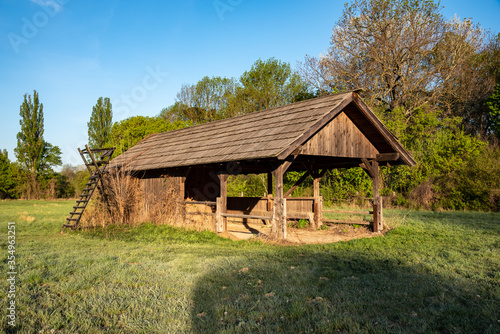 An animal feeding shelter in a glade is lit by the morning sun with a hunter stand next to it.