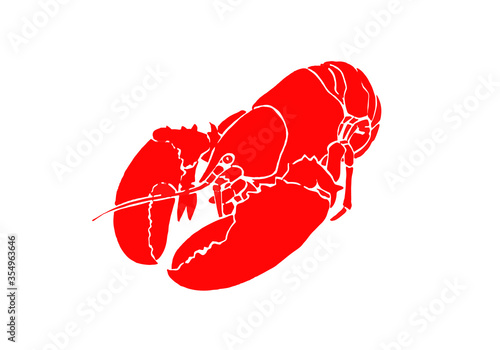 Graphical red  lobster isolated on white background, vector     sea-food illustration