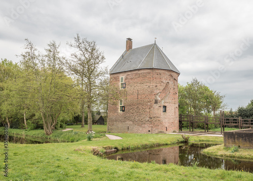 late 13th century Dutch castle with trees and river, against a cloudy sky