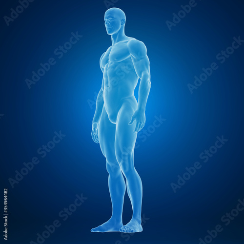 3d rendering of an muscular human body