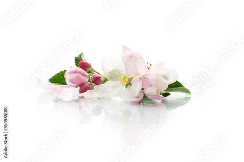 small bouquet of pink spring flowers of the apple tree
