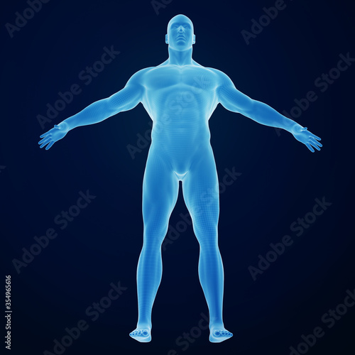 3d rendering of an muscular human body
