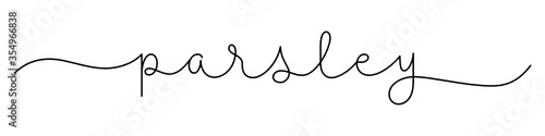 PARSLEY black vector monoline calligraphy banner with swashes
