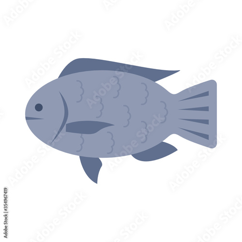 Nil tilapia fish flat design