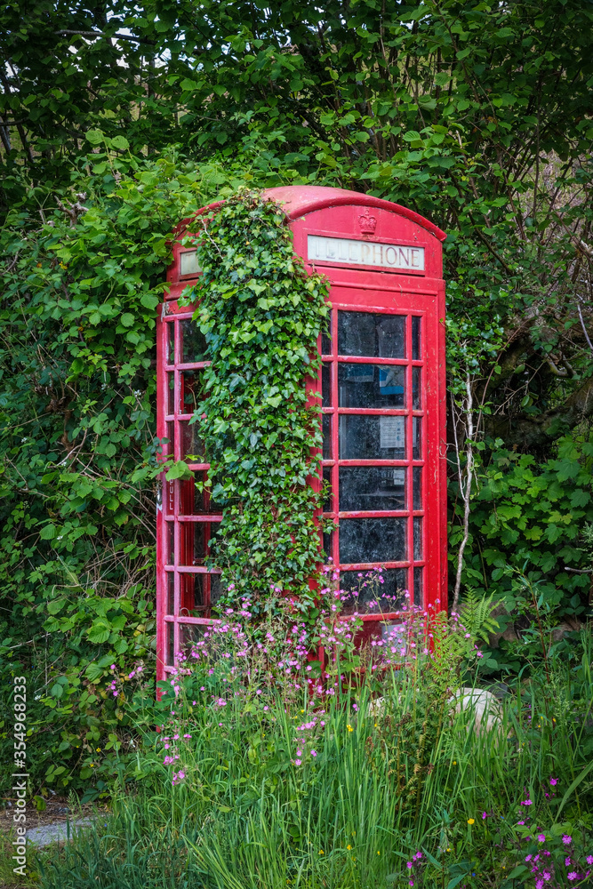 Abandoned red British phone box covered in Ivy, now being phased out but still around in remote villages around the UK
Abandoned red British phone box covered in Ivy, now being phased out but still around in remote villages around the UK