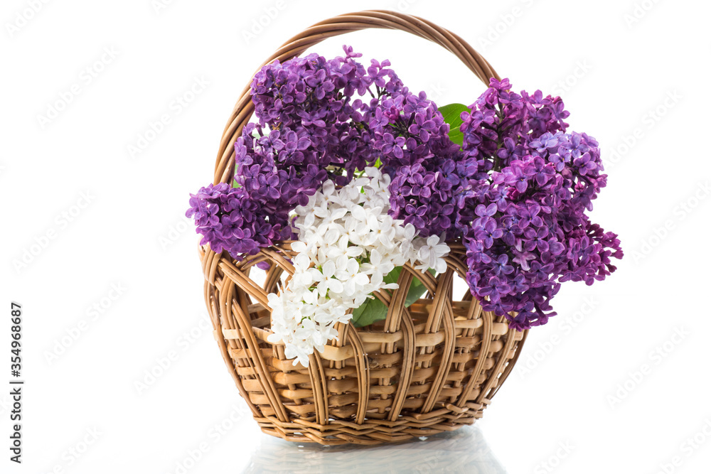 Fototapeta premium bouquet of beautiful blooming lilacs in a basket
