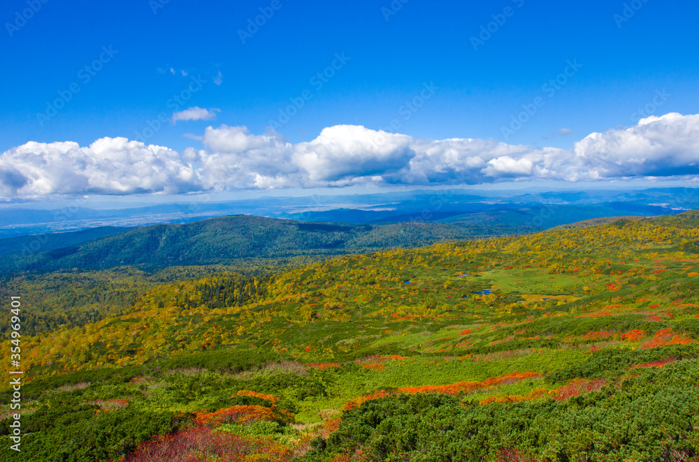 Beautiful autumn colors at  Mt. Asahidake, Hokkaido, Japan.