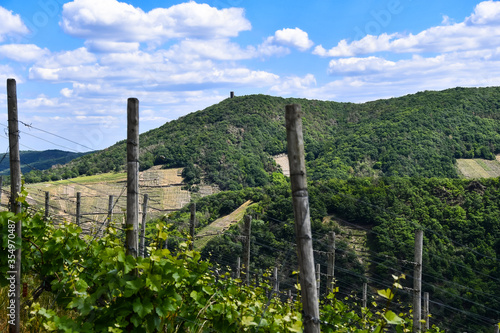 View of the vineyards and the forest in the Ahr valley near Rech