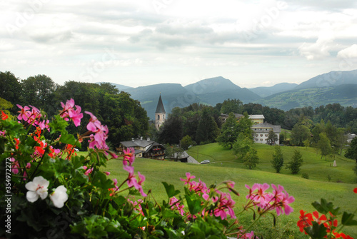 Wide view of pink flowers in front of  green alpine valley in Austrian Alps above Hallein, Austria. photo